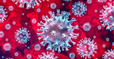 COVID-19 and How This Pandemic Has Affected the People We Care About the Most