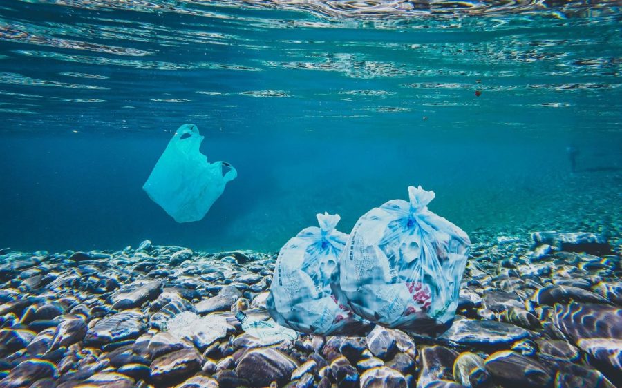 Do Your Part, Clean Up the Ocean
