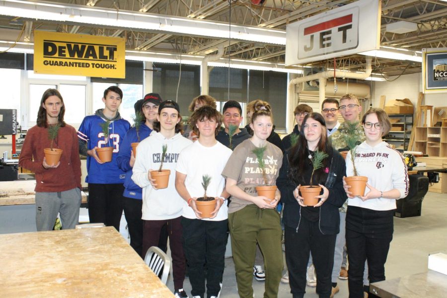 First period woodshop with their White Pine trees.